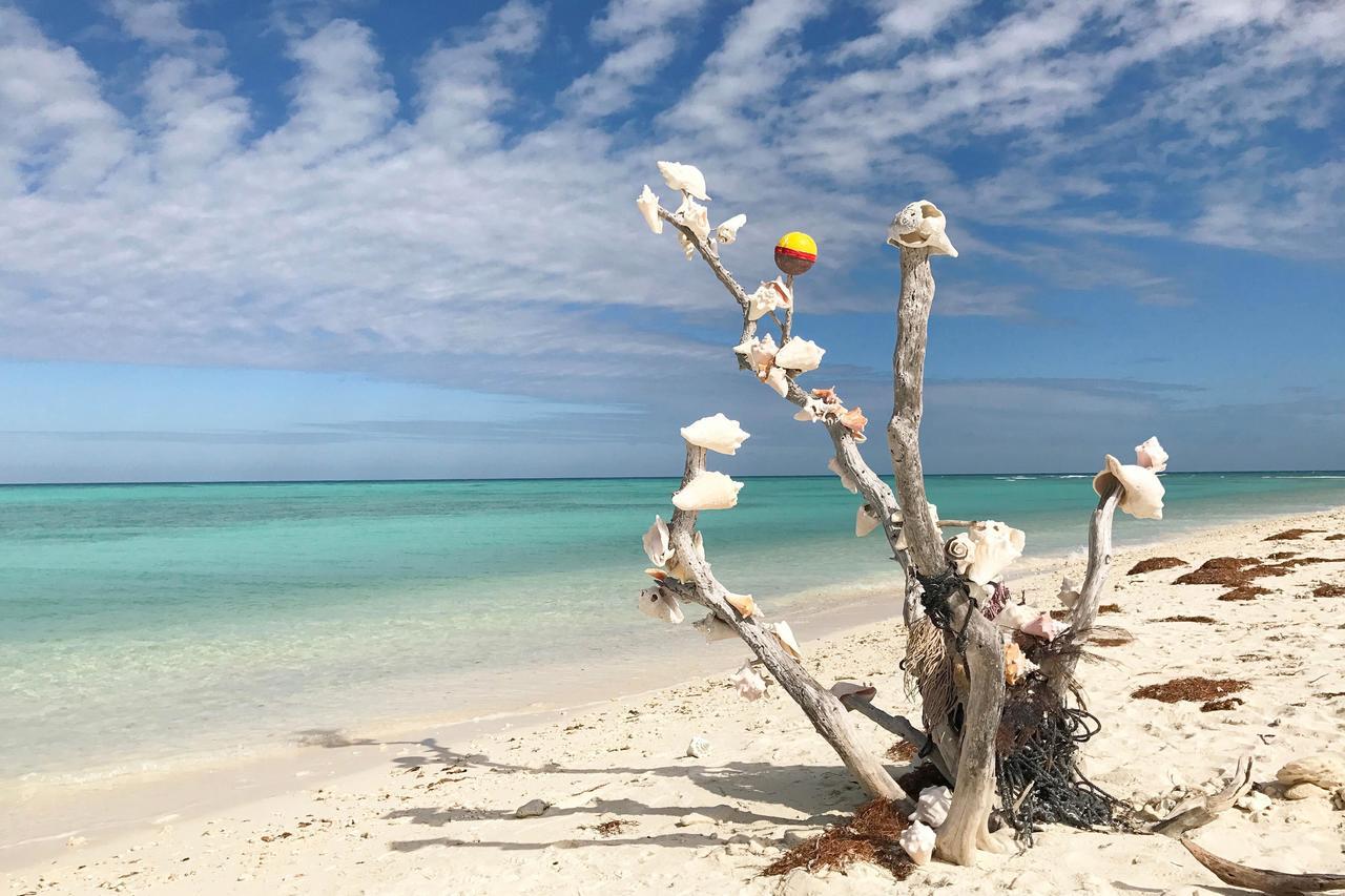 Conch Casa Villa Key West Eksteriør billede